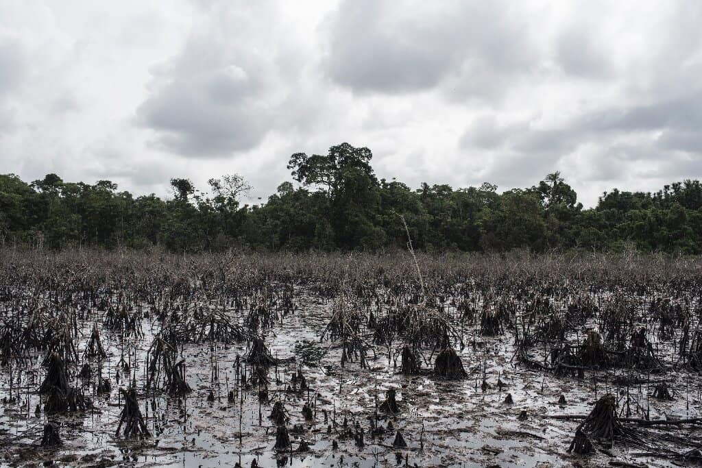 Oil Spillage in Nigeria