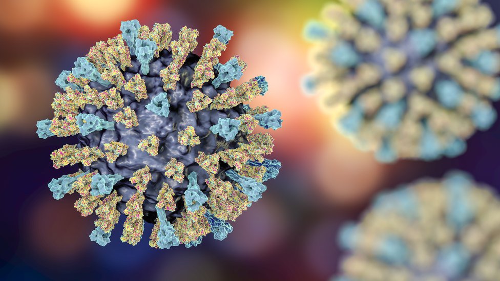 Measles Virus